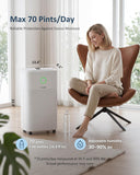 70 Pint/Day Compressor Dehumidifier for Home up to 4,000 Sq.Ft, Dehumidifier with Drain Hose, Humidity Control