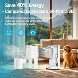 34 Pints Dehumidifiers for Home with 6.56ft Drain Hose