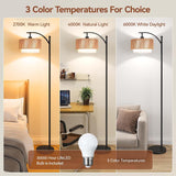 Floor Lamps with 12W LED Bulb, Arc Floor Lamp with 3 Color Temperatures