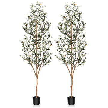 2-Pack 6FT Artificial Olive Trees, Wood Trunks & Silk Leaves