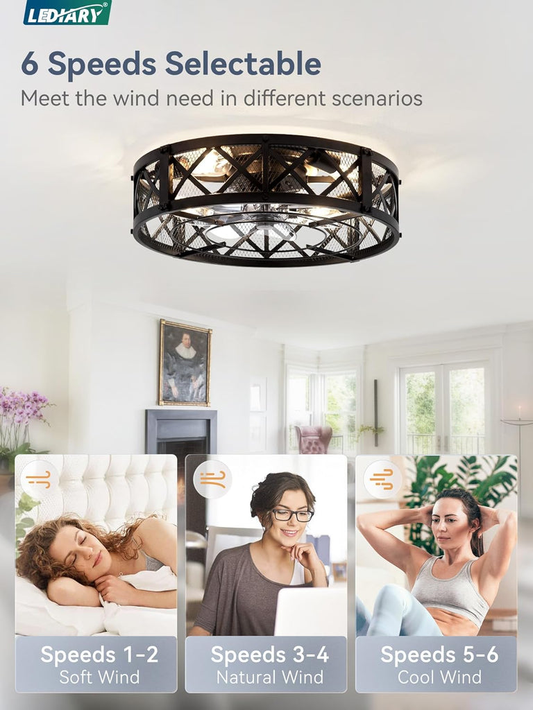 20" Caged Ceiling Fan with Light, APP&Remote Control, Small Flush Mount Farmhouse Fan Lights