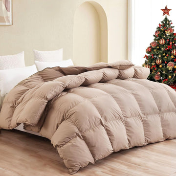 Premium Down Comforter Queen, Luxurious All Season Duvet Insert with Cotton Blended Fabric