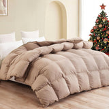 Premium Down Comforter Queen, Luxurious All Season Duvet Insert with Cotton Blended Fabric