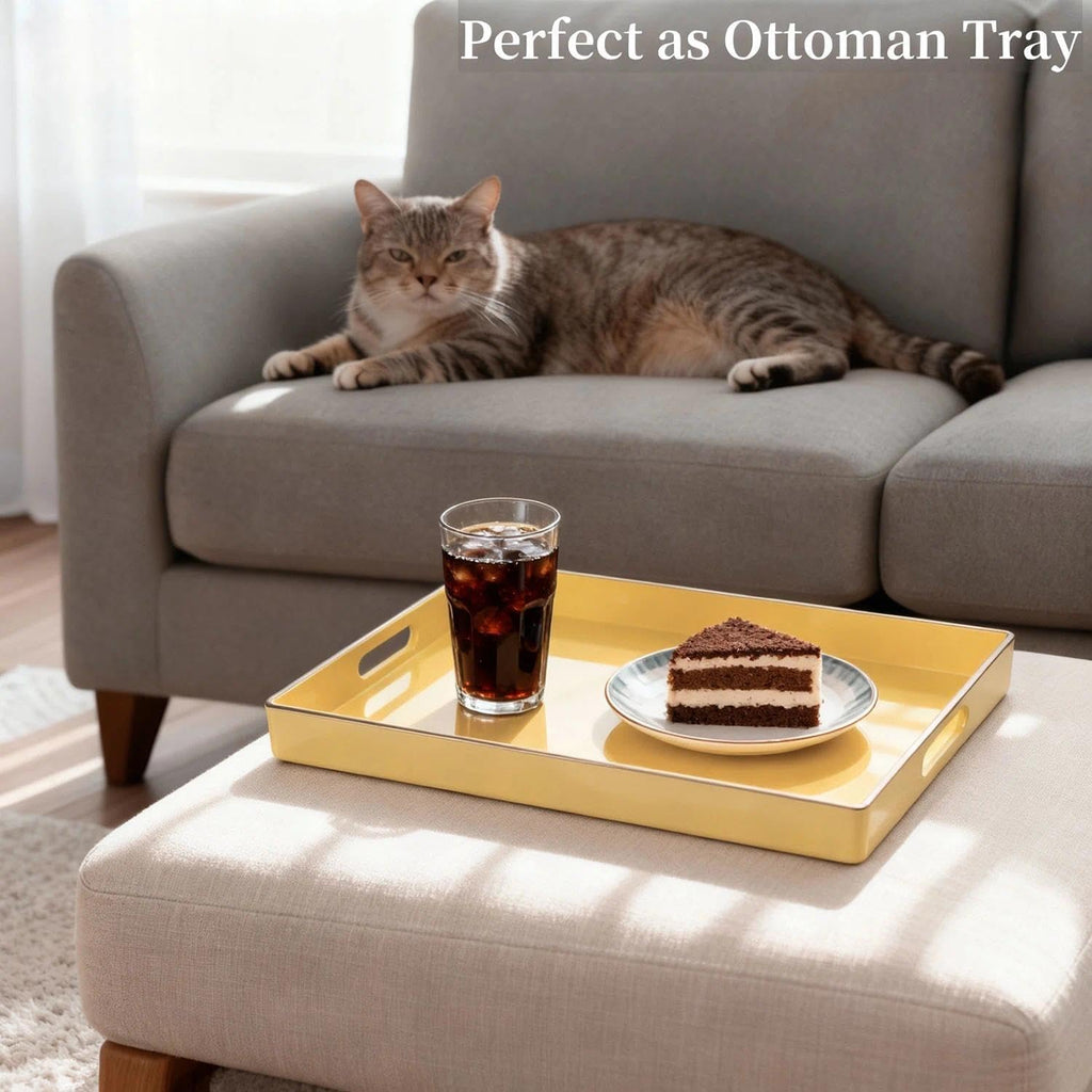Decorative Tray, Rectangular Plastic Tray with Handles, Modern Vanity Tray and Serving Tray , Ottoman and Coffee