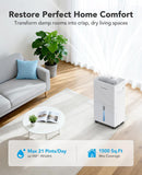 21 Pint Dehumidifier for Basement and Home, 1500 Sq Ft Portable Dehumidifier with Drain Hose