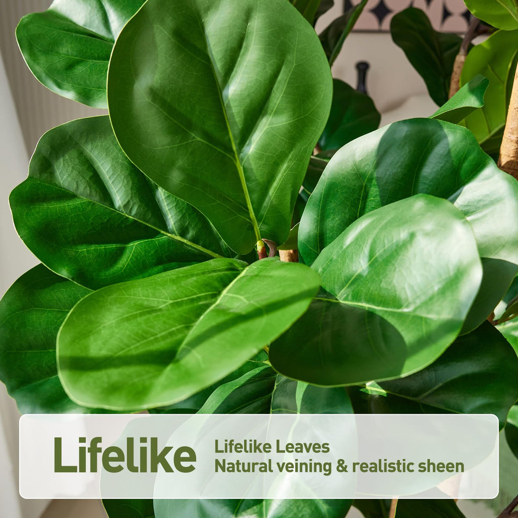 6ft Artificial Fiddle Fig Tree, 3 Real Wood Trunks