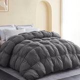 Premium Down Comforter Queen, Luxurious All Season Duvet Insert with Cotton Blended Fabric