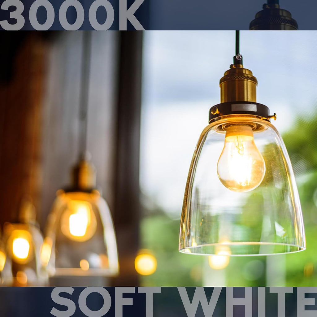 Vintage A19 LED Light Bulbs 60W Equivalent, 3000K Soft White Dimmable, 800 Lumens, Standard LED Edison Bulb 8W, UL (4 Pack)