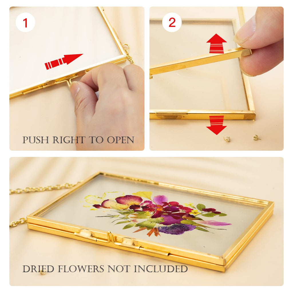 3 Pcs Pressed Flower Frames with Tweezers, Wall Hanging Double Glass Frames with Metal Chain for Pressed Dried