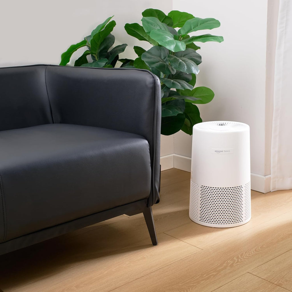 Air Purifier for Home and Office, With Activated Carbon, 3 Speeds, Timer, Sleep Mode (32db), Energy 