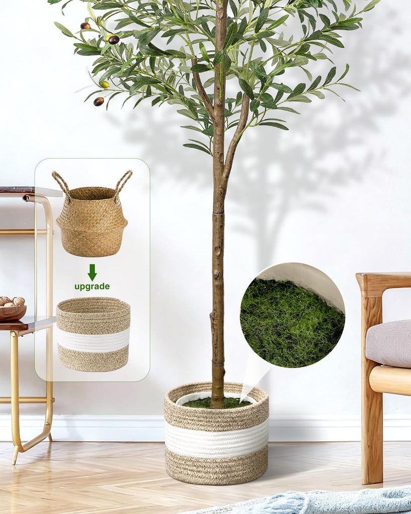6FT Artificial Olive Tree - Indoor Tall Faux Olive Trees with Planter&Basket, Large Fake Olive Silk Tree Realistic