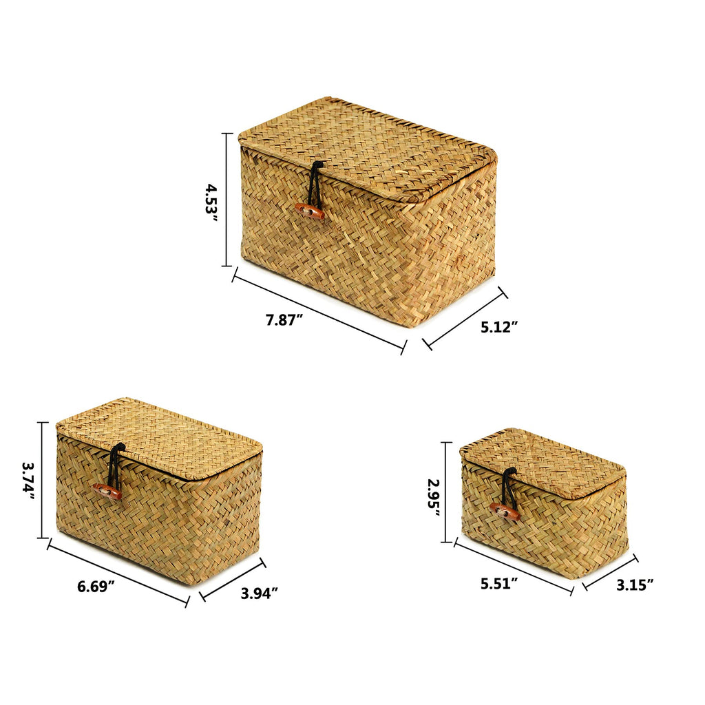 Mini Wicker Shelf Storage Baskets with Lid, Set of 3, (S/M/L)