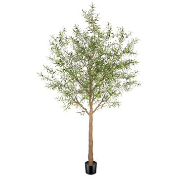 Large Faux Olive Tree 10ft with Thick Trunk & Realistic Leaves