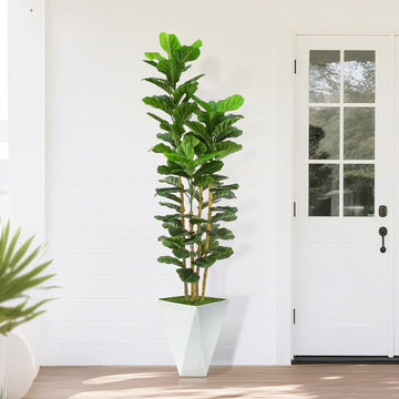 Fiddle Leaf Fig Tree,6ft Tall Fake Plant Indoor with White Planter,Faux Ficus Tree with Natural Wood Trunk Living