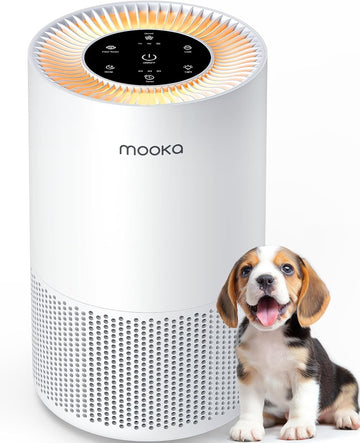 Air Purifiers for Home Large Rooms up to 1200ft², H13 True HEPA Air Purifier for Bedroom Pets with F