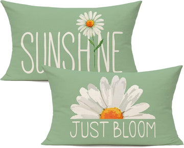 12x20 Lumbar Outdoor Green Throw Pillow Covers Set of 2 Spring Summer Decorative Cushion Cases Home Décor