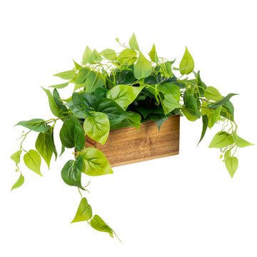 Artificial Pothos Plant, Acacia Wood Planter Box, Faux Greenery
