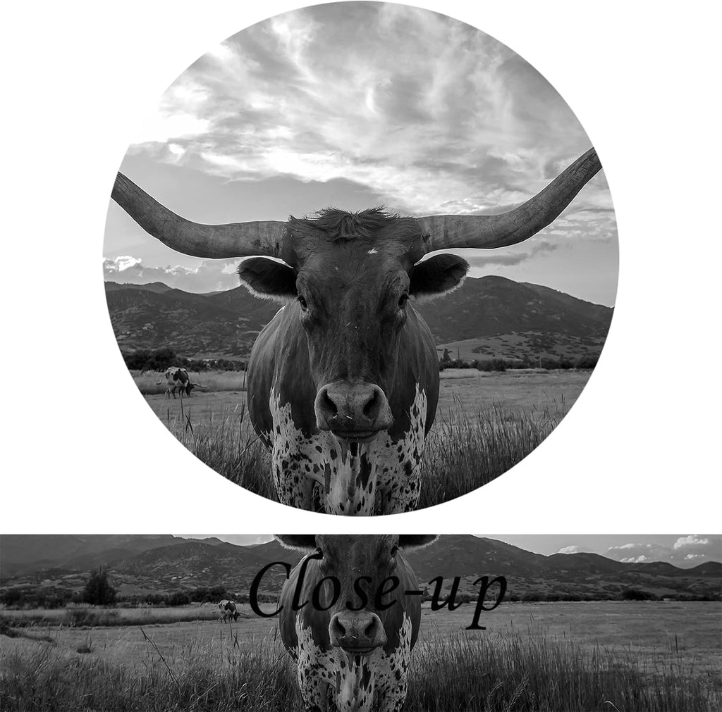 5 Piece Texas Animal Canvas Wall Art Longhorn Black & White Canvas Print Modern Canvas Paintings Living Room Wall