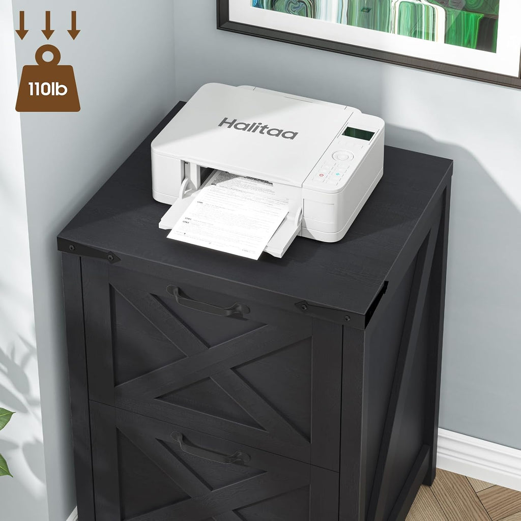 Small Farmhouse File Cabinet with 2 Drawers , Black | Vertical Filing Cabinet Fits Letter and A4 Size, Farmhouse