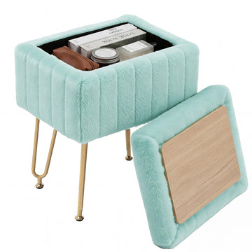Vanity Stool Chair, Ottoman with Storage