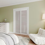 Preassembled Sliding Closet Door 48"(Double 25") x 80" Interior Doors with Hardware Kit & Floor Guid