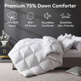 Organic 75% Down Fiber Comforter King,850+FP,1200TC,Extra Fluffy,Hotel Style,Luxury Ultra Soft All S