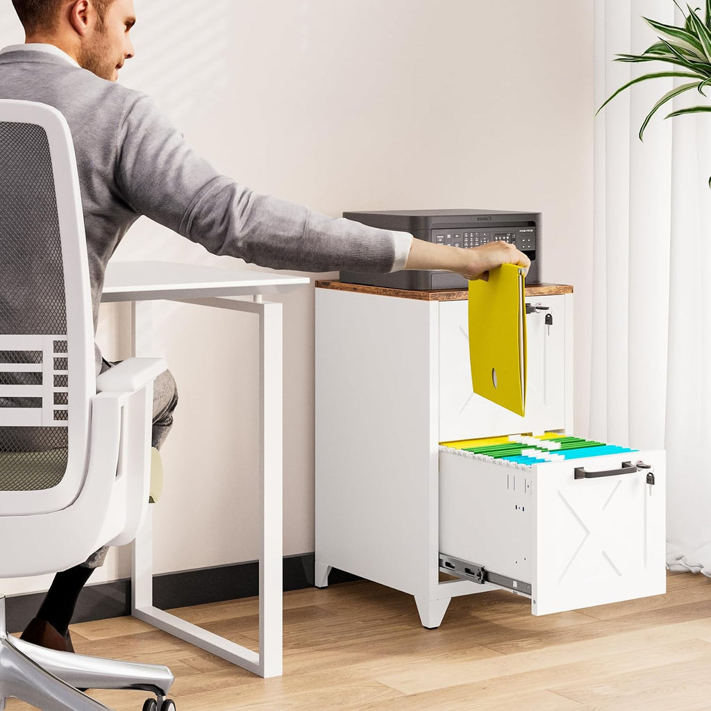 File Cabinet with Lock Vertical Filing Storage Cabinet Office Home Steel for Letter Size File Cabinet Locked,Assembly