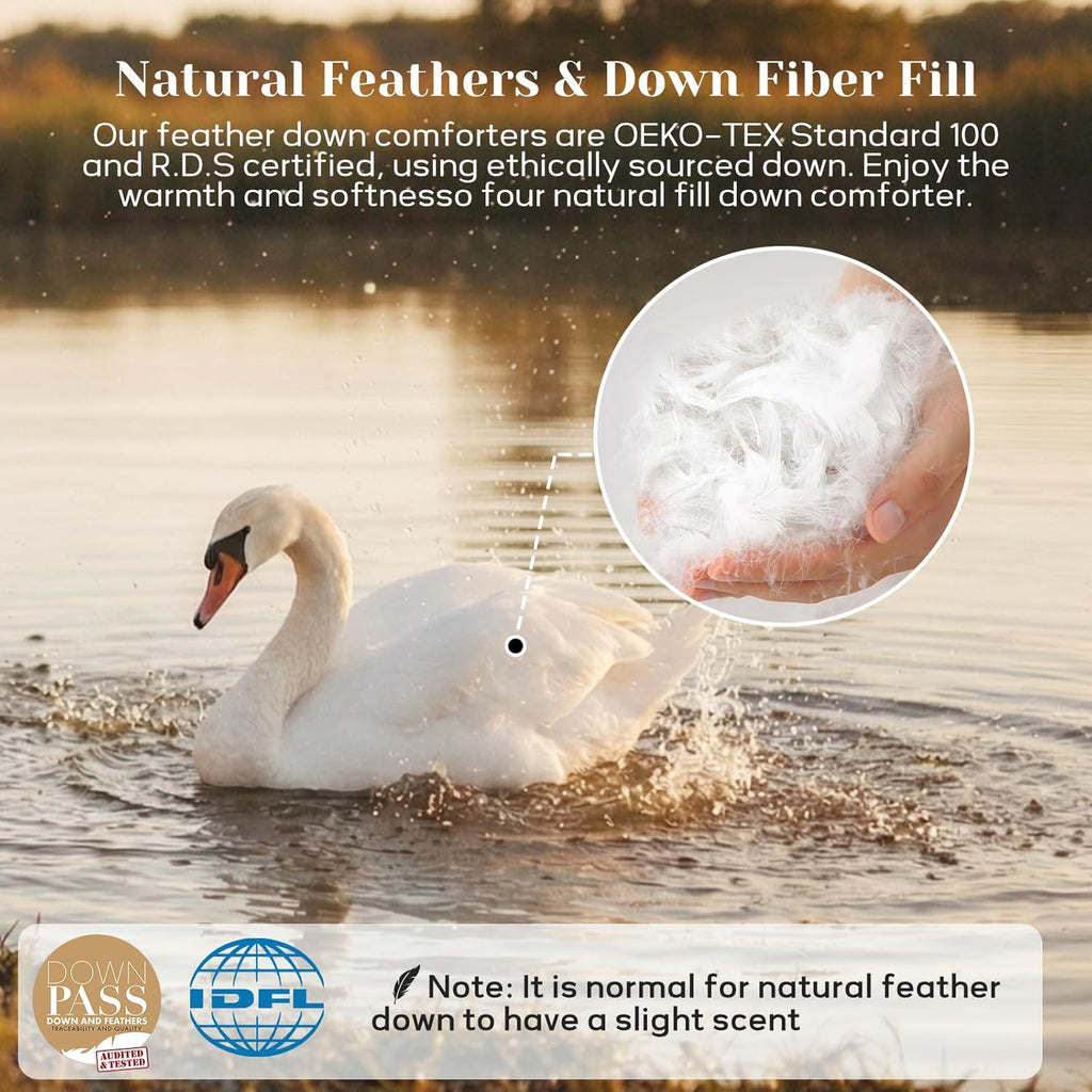Queen Down Comforter - All Season Ultra Soft Goose Down & Feather Fiber Fill
