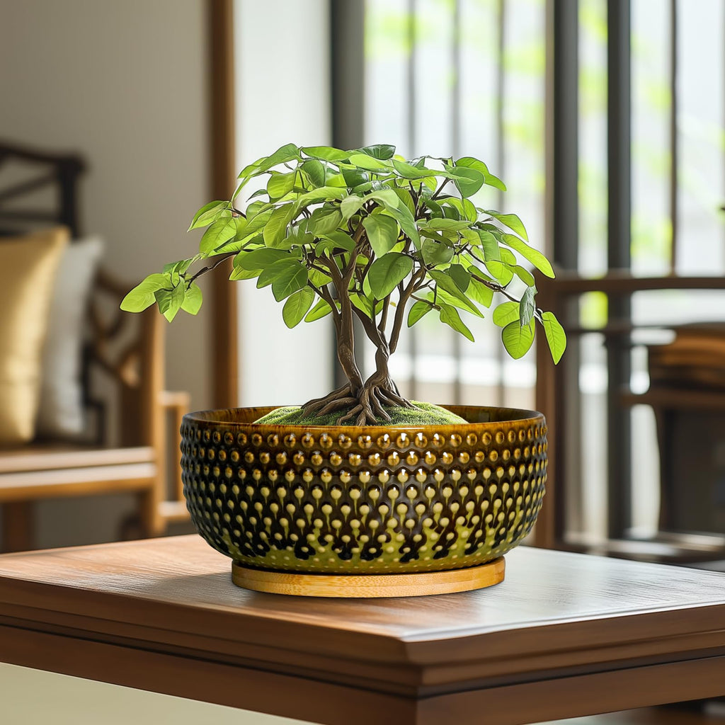 Bonsai Pots 8 Inch - Ceramic Planter for Indoor Plants, Succulent Pots with Drainage Hole and Plant Tray, Modern