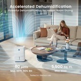 80 Pints Energy Star Dehumidifier for Home, Basement with Drain Hose, Front LED Display and 1.06 Gal Water Tank
