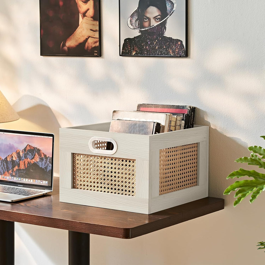 2 Pack Vinyl Record Storage Crates, Rattan Vinyl Record Holder