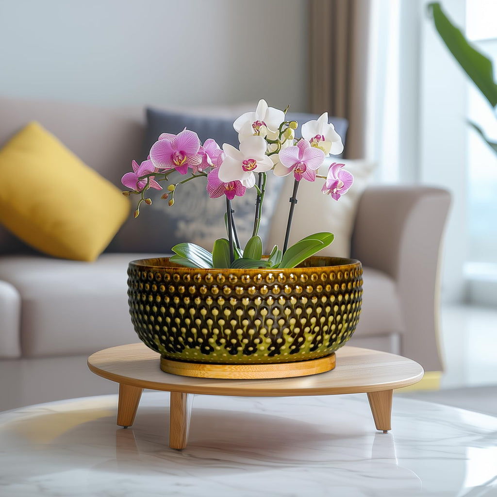 Bonsai Pots 8 Inch - Ceramic Planter for Indoor Plants, Succulent Pots with Drainage Hole and Plant Tray, Modern