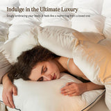 Lightweight Organic Feather Down Comforter King