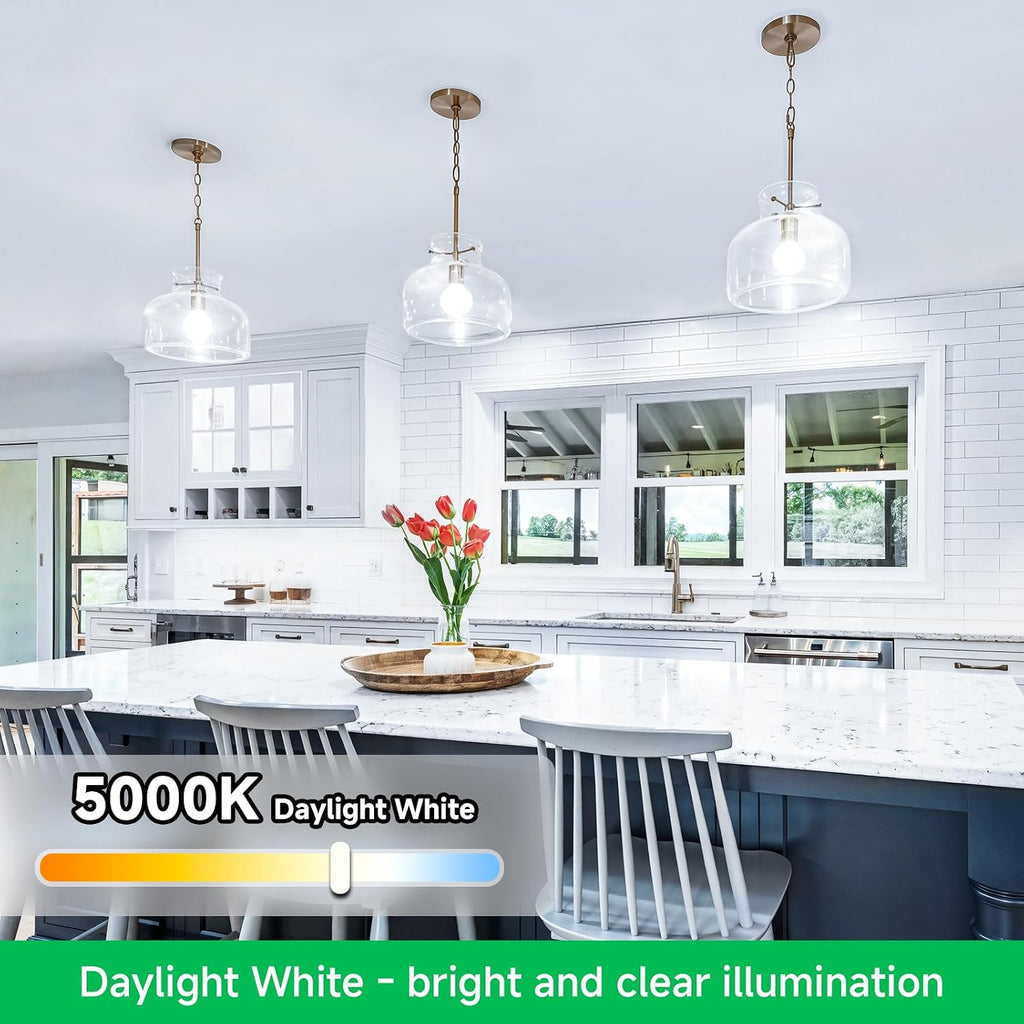 12-Pack A19 LED Light Bulbs, 100 Watt Equivalent LED Bulb, 5000K Daylight White, 1100 Lumens, E26 Medium Base, CRI