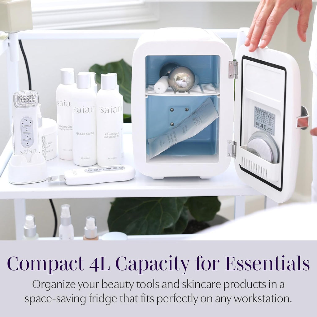 Esty Fridge for Skincare Products - Compact 4L Portable Mini Fridge with Quiet Dual Cooling and Warming for Beauty