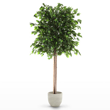 7ft Artificial Ficus Tree Plant - Realistic Fake Indoor Plants