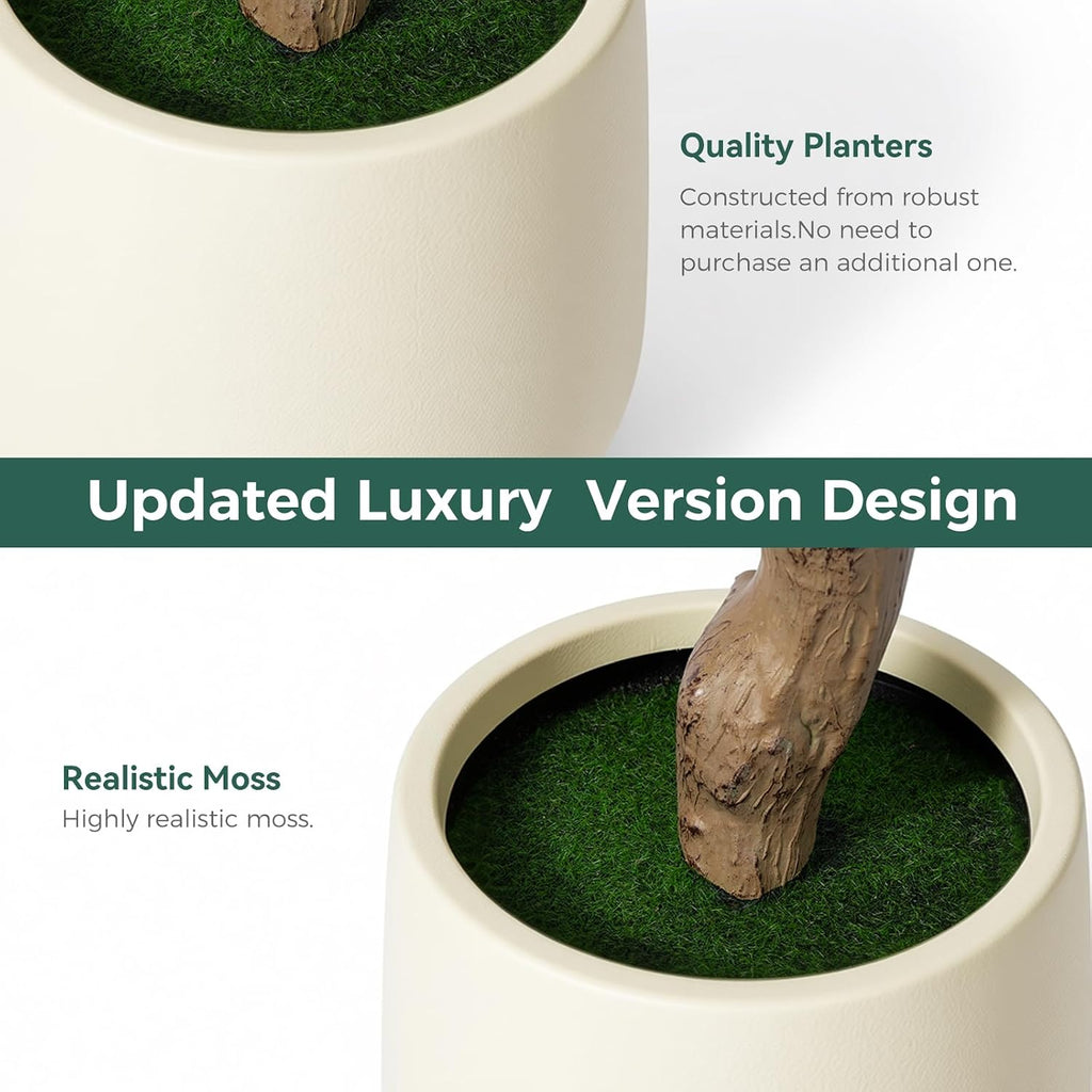 6FT Faux Olive Tree with Decorative Planter, Olive Trees Artificial Indoor with Textured Trunk, Silk Leaves and Olive