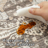 Living Room 10x14 Area Rugs - Washable Lightweight Area Rug Stain Resistant Carpet Vintage Soft Rugs