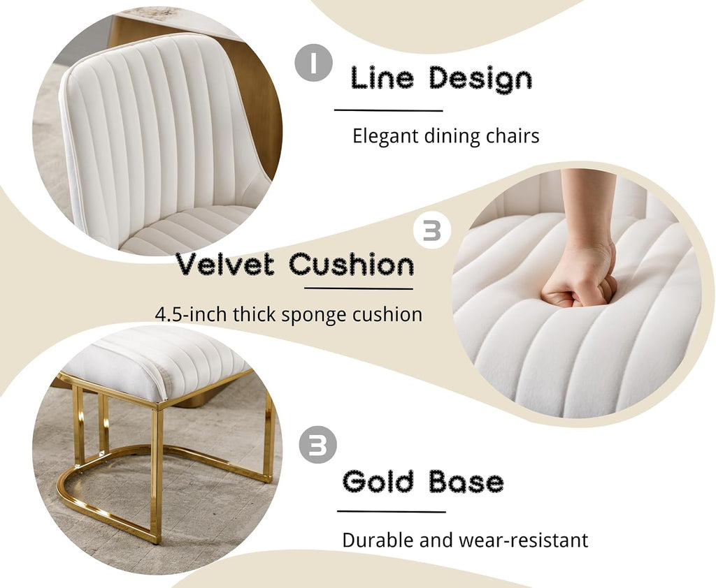 Velvet Upholstered Dining Chairs Set of 6 Modern Accent Dining Room Chairs with Gold Metal Base Comfy Padded Kitchen