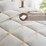 Goose Feather Down Fiber Comforter Full/Queen