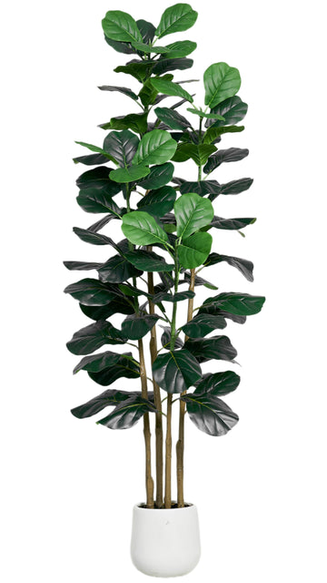 6FT Faux Fiddle Leaf Fig Tree with White Planter Pot, Fake Tree with 4 Trunks, Faux Floor Plant, Indoor and Outdoor