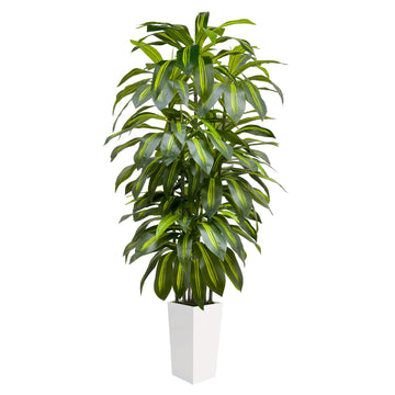 6FT Fake Tall Plant Artificial Dracaena Tree Indoor Faux Plants Indoor Luxury Fake Plants Decor Artificial Tree Floor
