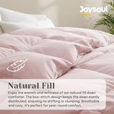 Queen Down Comforter - All Season Ultra Soft Goose Down & Feather Fiber Fill