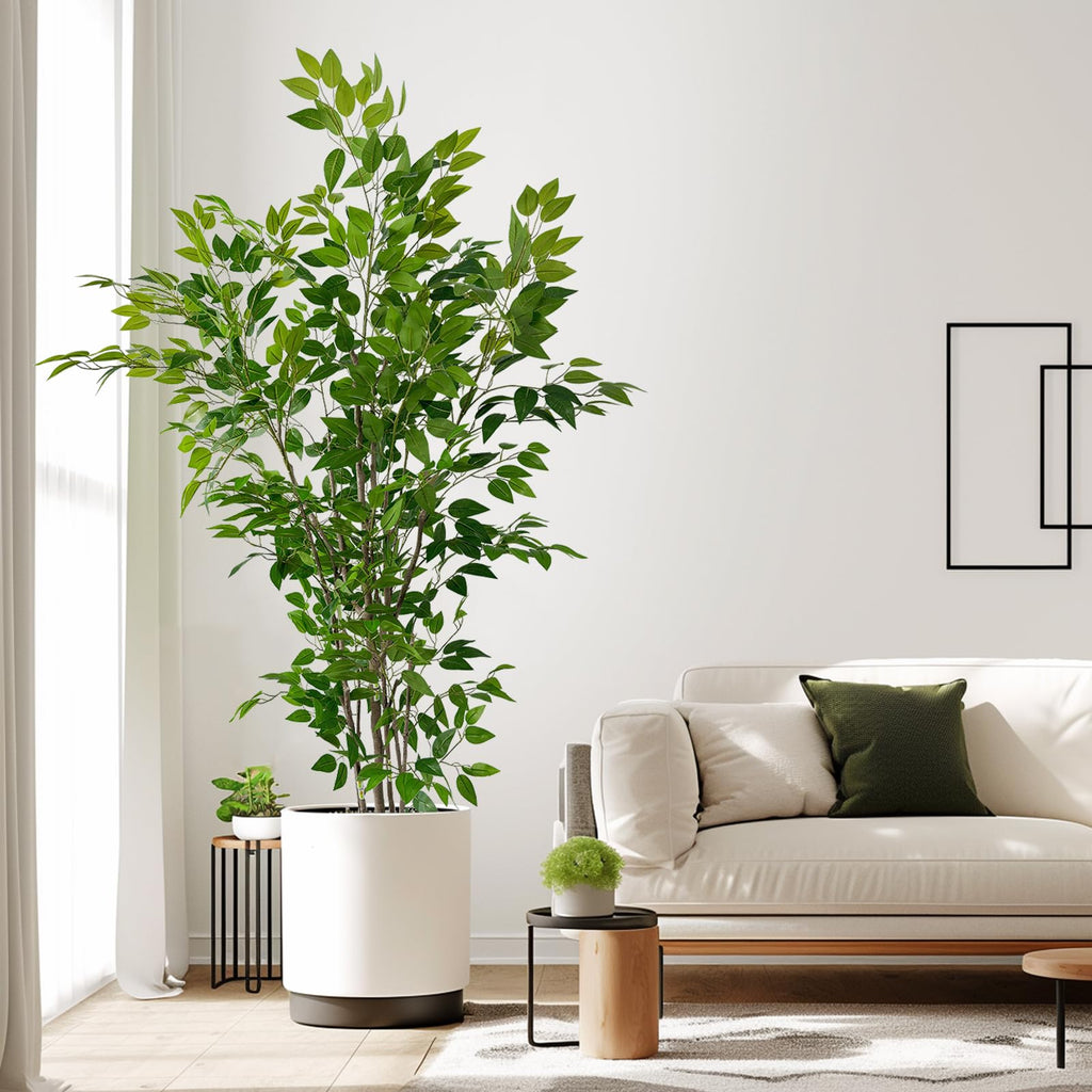 6ft Artificial Ficus Tree with White Plastic Planter