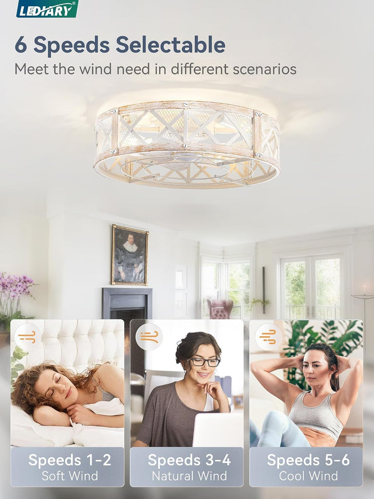20" Caged Ceiling Fan with Light, APP&Remote Control, Small Flush Mount Farmhouse Fan Lights