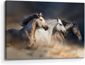 Animal Horse Canvas Wall Art: Galloping Horses Picture Farm Wildlife Photography Painting Print Equestrian Artwork