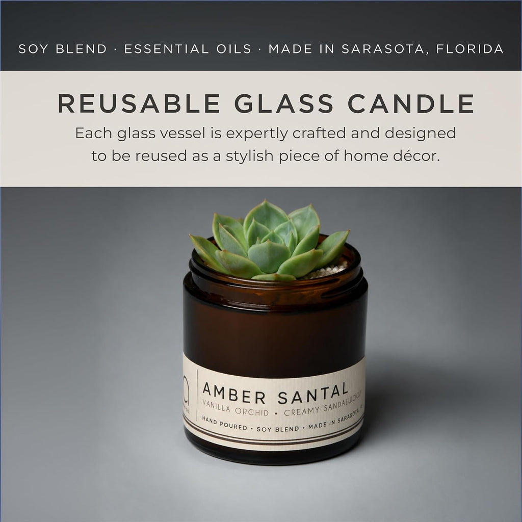 Best Sellers - Soy Candle Set 3 Pack - Amber Santal | Paraben Free, Brown Glass Jars With Gold Lids, 2.75 in Dia x