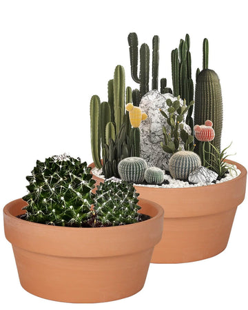 8 Inch Terracotta Shallow Planter Pots, 2 Pack, Drainage Hole