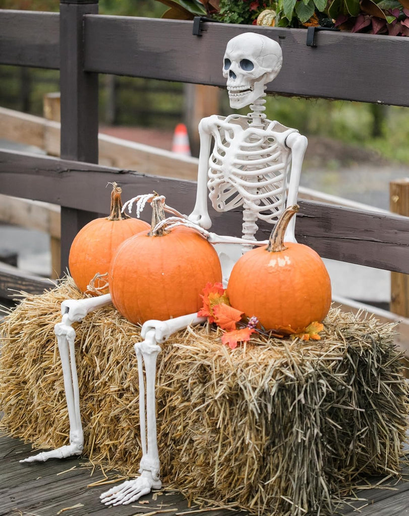 36" Halloween Skeleton - 3 ft Life Size Human Skeleton with Posable Joints - Spooky Scary Plastic Full Body - Set of 2