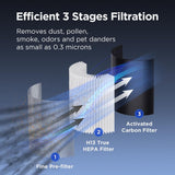 Air Purifiers for Home Large Room up to 1076 ft², H13 True HEPA Air Filter Cleaner, Odor Eliminator,
